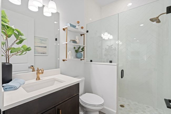 Iris, Pangea Park, Viera Builders, bathroom
