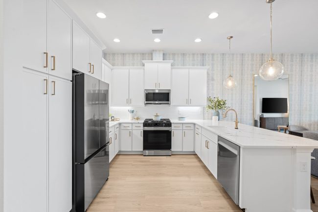 Iris, Pangea Park, Viera Builders, kitchen