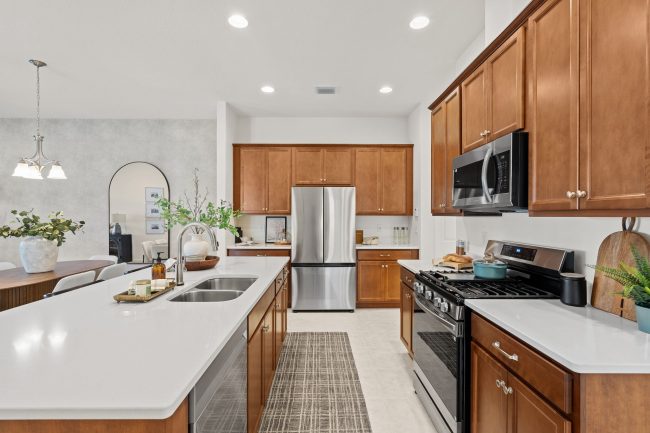 Lilac, Pangea Park, Viera Builders, kitchen