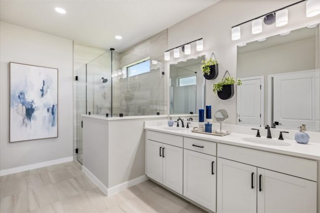 Atlin Cove, Brisa II, Viera Builders, interior, primary bath